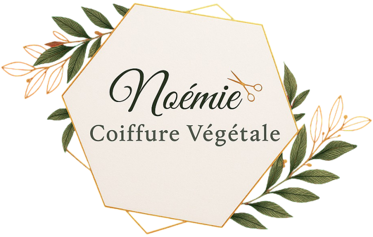 noe coiffure jarny briey logo